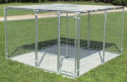kennel.jpg